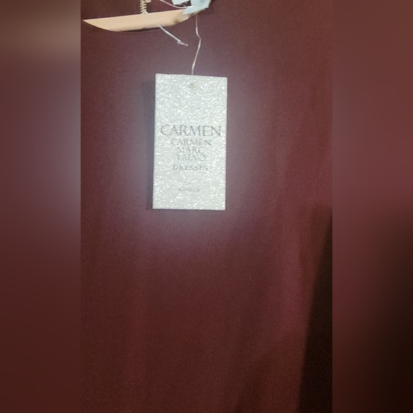 Plum dress size 14 zip in the back New with tag - Picture 4 of 7